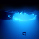 Illustration for article titled Stunning Drone Footage From Beneath The Ice Of Antarctica